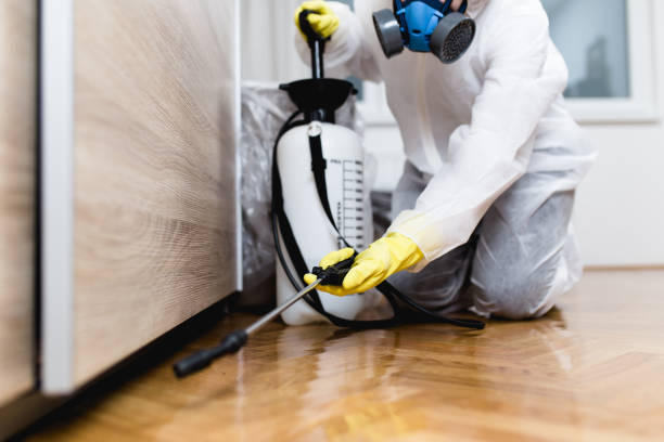 Best Bed Bug Extermination  in Dardenne Prairie, MO