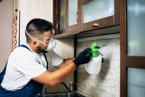 Best Best Pest Control Companies  in Dardenne Prairie, MO